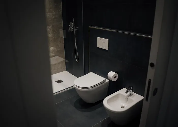 Domus - Cicerone - *