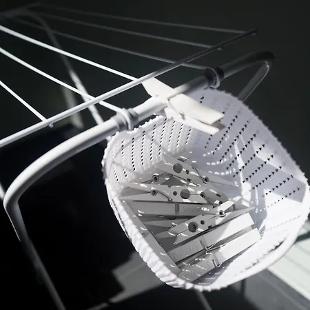 Domus - Cicerone - *